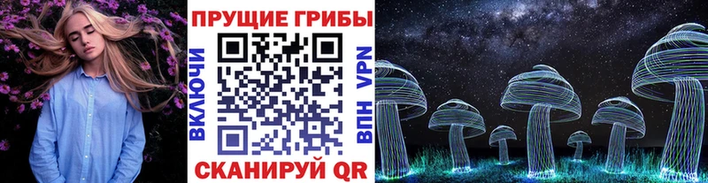 Купить  Гулькевичи  Галлюциногенные грибы GOLDEN TEACHER 